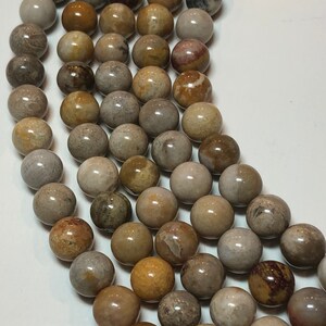 8mm Round Fossilized Coral Beads. Full 15&quot; strand of good quality round beads, 48 beads per strand. Yellow, beige and tan fossil coral.