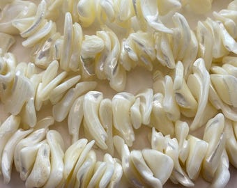 Peut inclure: Gros plan sur un collier à plusieurs rangs composé de fragments de coquillages irisés, blanc cassé. Les morceaux de coquillage ont une forme naturelle et irrégulière et sont assemblés pour créer un aspect texturé et organique. Le collier semble fait à la main.