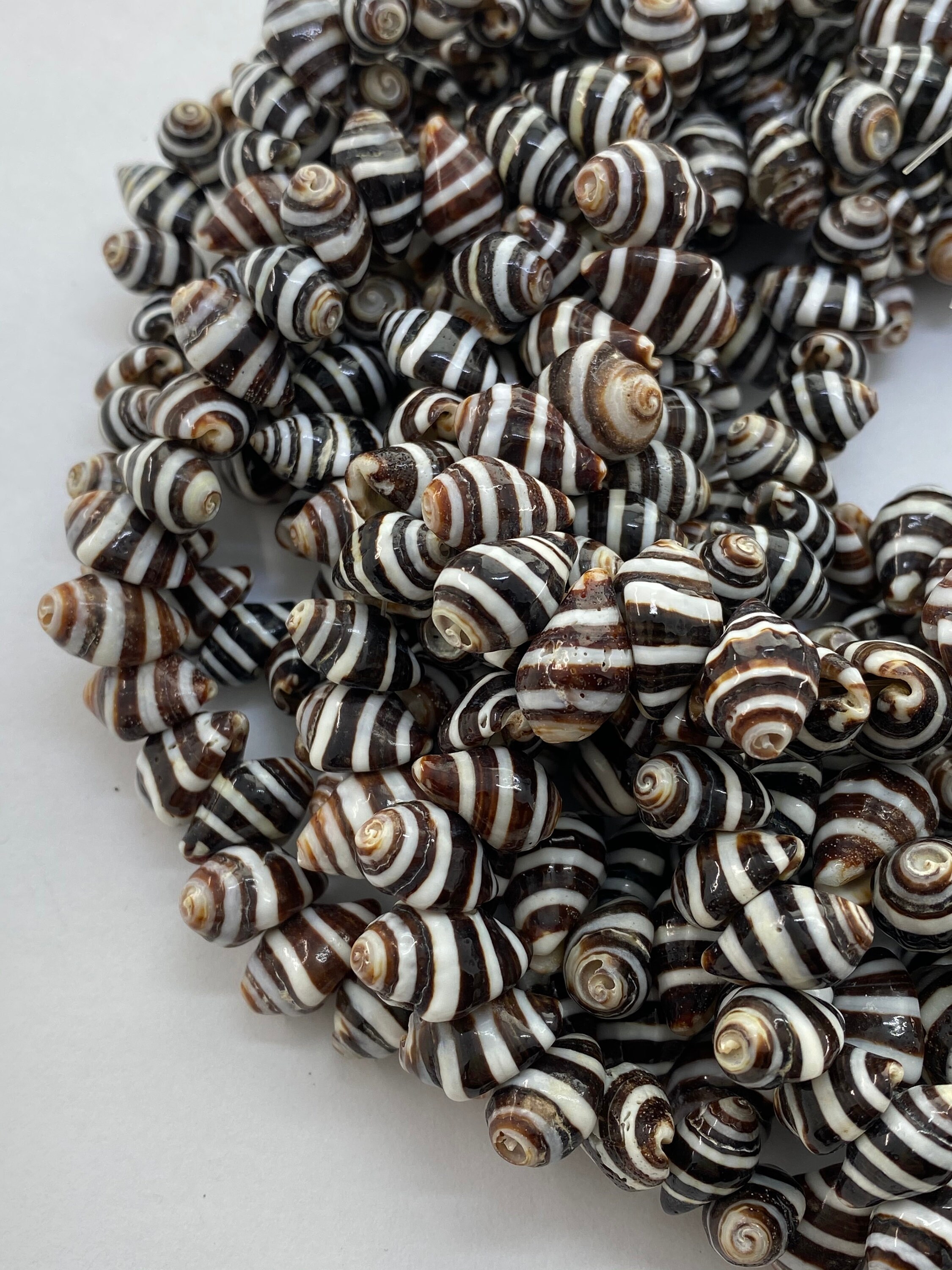 Striped Pyrene Whole Shell Beads. 15