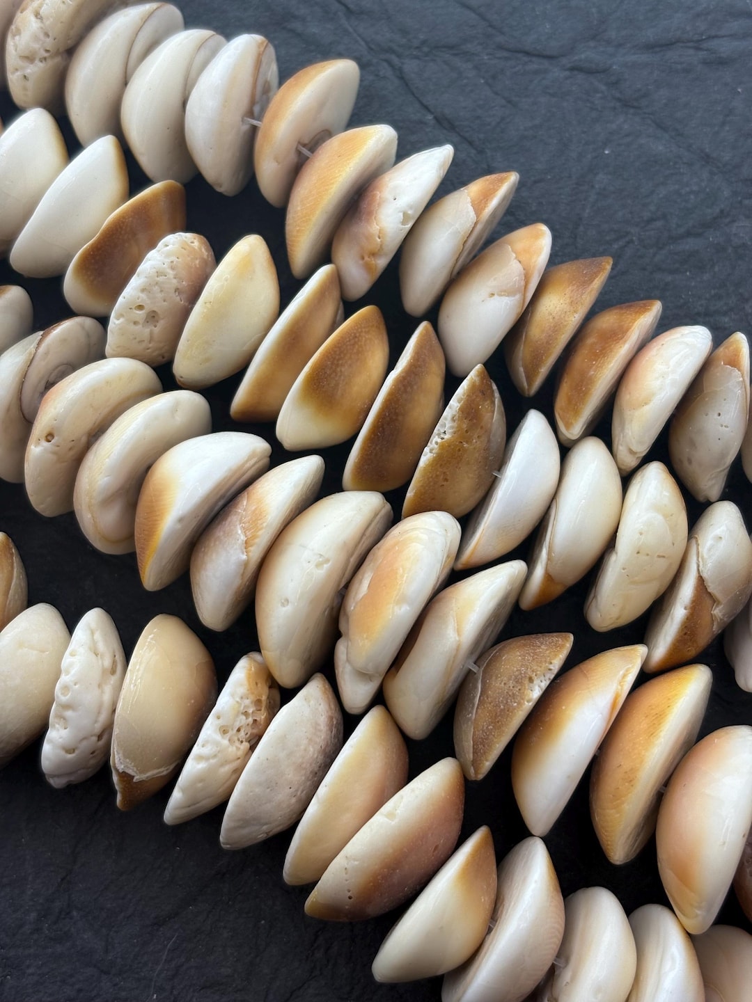 Shell For Round Center-drilled Half-round Shell Slices. 7” Strand, Approx. 20-24beads ...