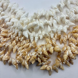 May include: A necklace made of small, white and tan seashells. The shells are strung together, creating a layered effect. The shells are a mix of white and tan, with some having brown stripes. The necklace is on a white surface.