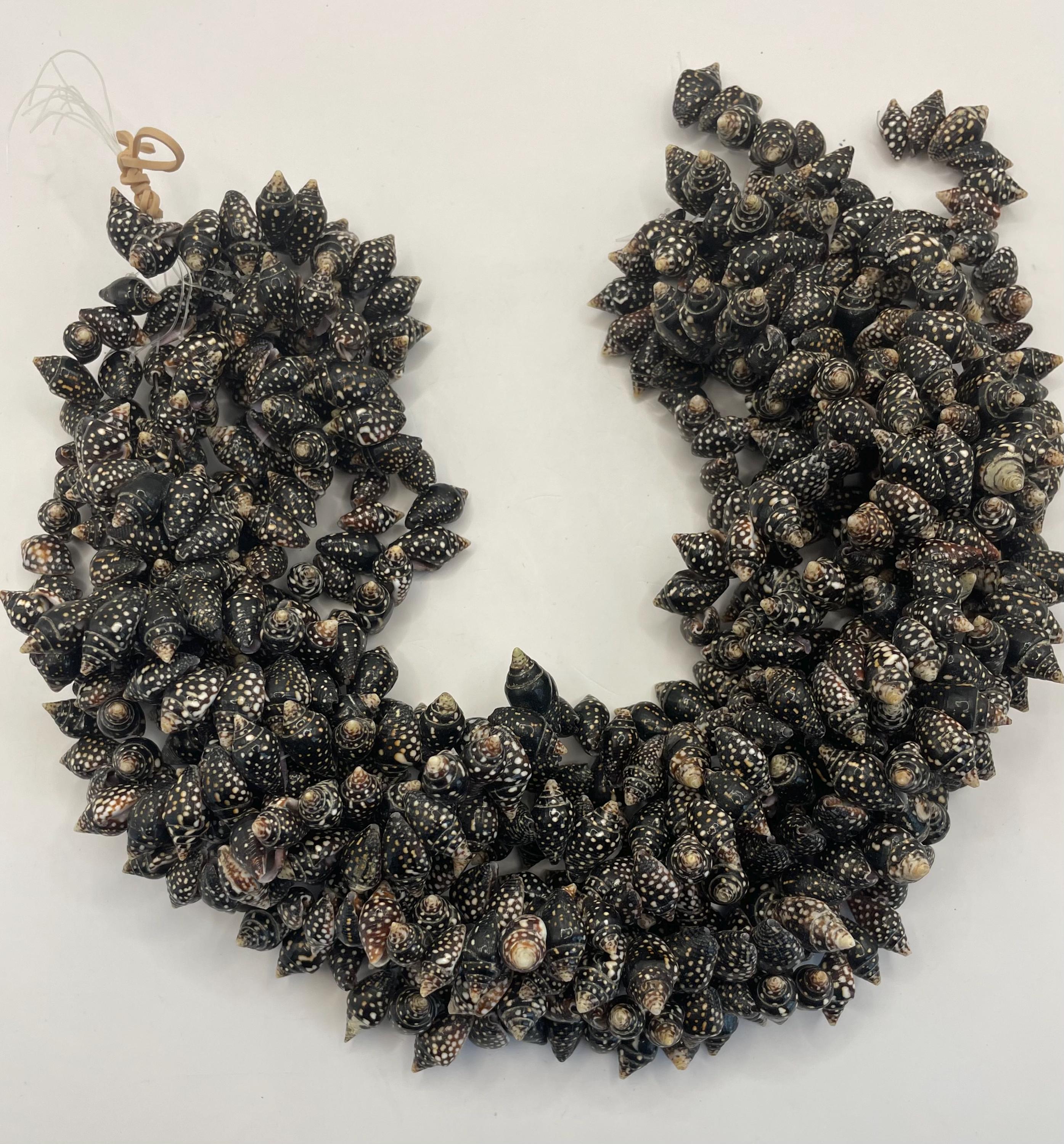 Pyrene Shell Pyrene Whole Shell Beads. 15