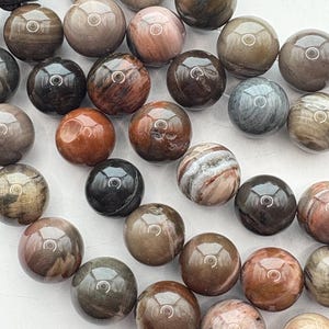 12mm round Petrified Wood Beads.  15” strand of earth tone beads, 33 per strand. Wooden Agate Beads.