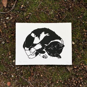 A horizontal black and white linocut print of a tuxedo cat sleeping. The cat has a black head and back with white belly and paws. It is laying on its left side with its four paws crossed over each other in front of its belly.