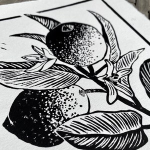 another close-up from a different angle. the shading on each leaf is half black veins on white and half white veins on black.