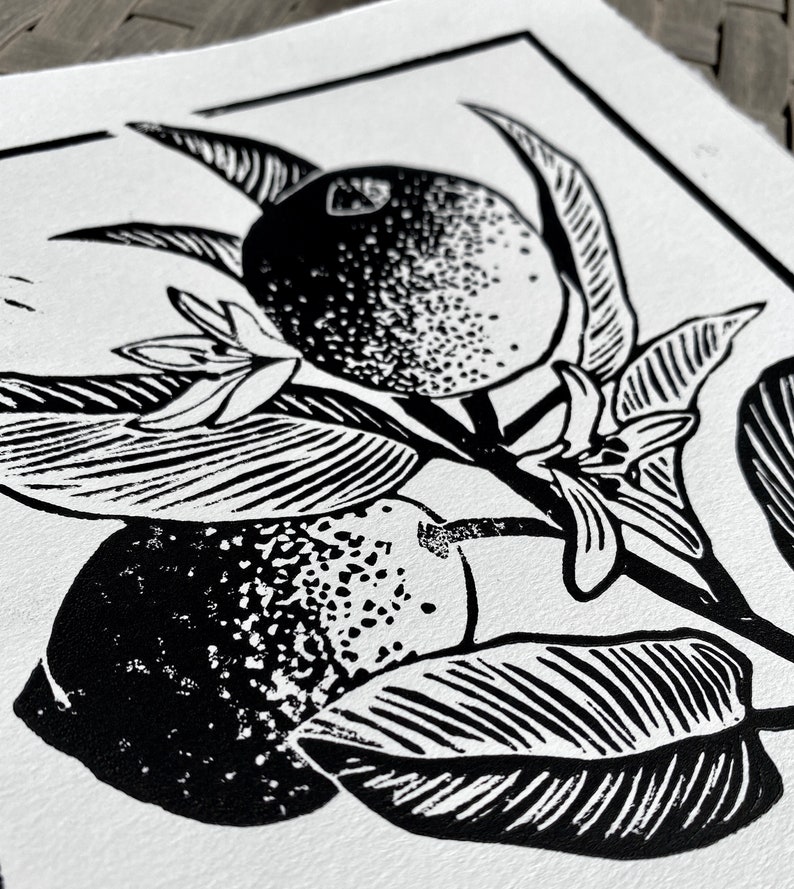another close-up from a different angle. the shading on each leaf is half black veins on white and half white veins on black.