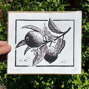 The print packaged in a clear plastic sleeve with a sheet of cardboard behind it. It is being held in front of green leaves.