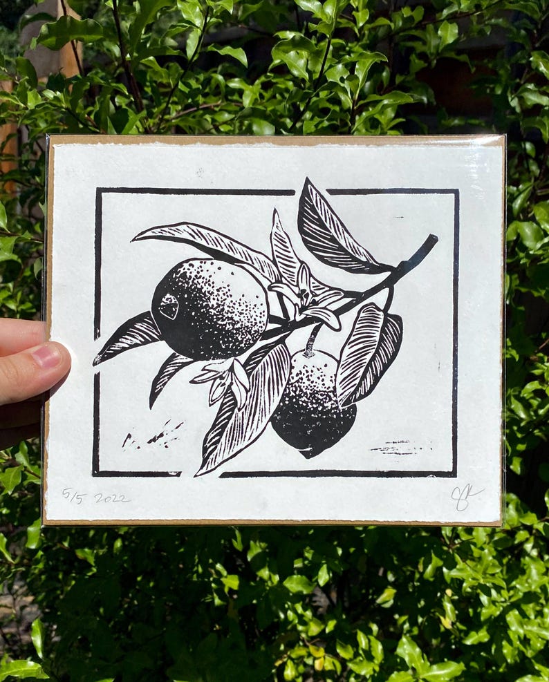 The print packaged in a clear plastic sleeve with a sheet of cardboard behind it. It is being held in front of green leaves.