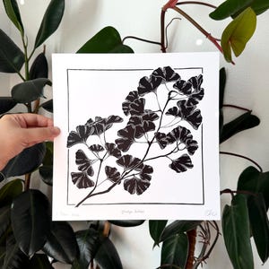an art print held in front of plants with a white wall behind. the print is a reproduction of a linocut in black ink on white paper. there is a branch of a ginkgo tree stretching from the bottom left corner up to the top right. it has about thirty leaves branching out from ten places on the branch in an asymmetric layout