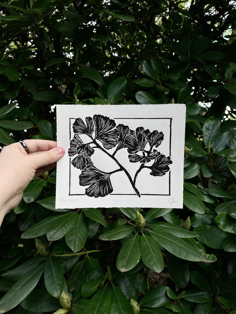 A linocut print in black ink on white paper of a diagonal ginkgo branch with eleven leaves extending out in three directions. there is a thin rectangle border round the branch, which the branch is obscuring in a few places.