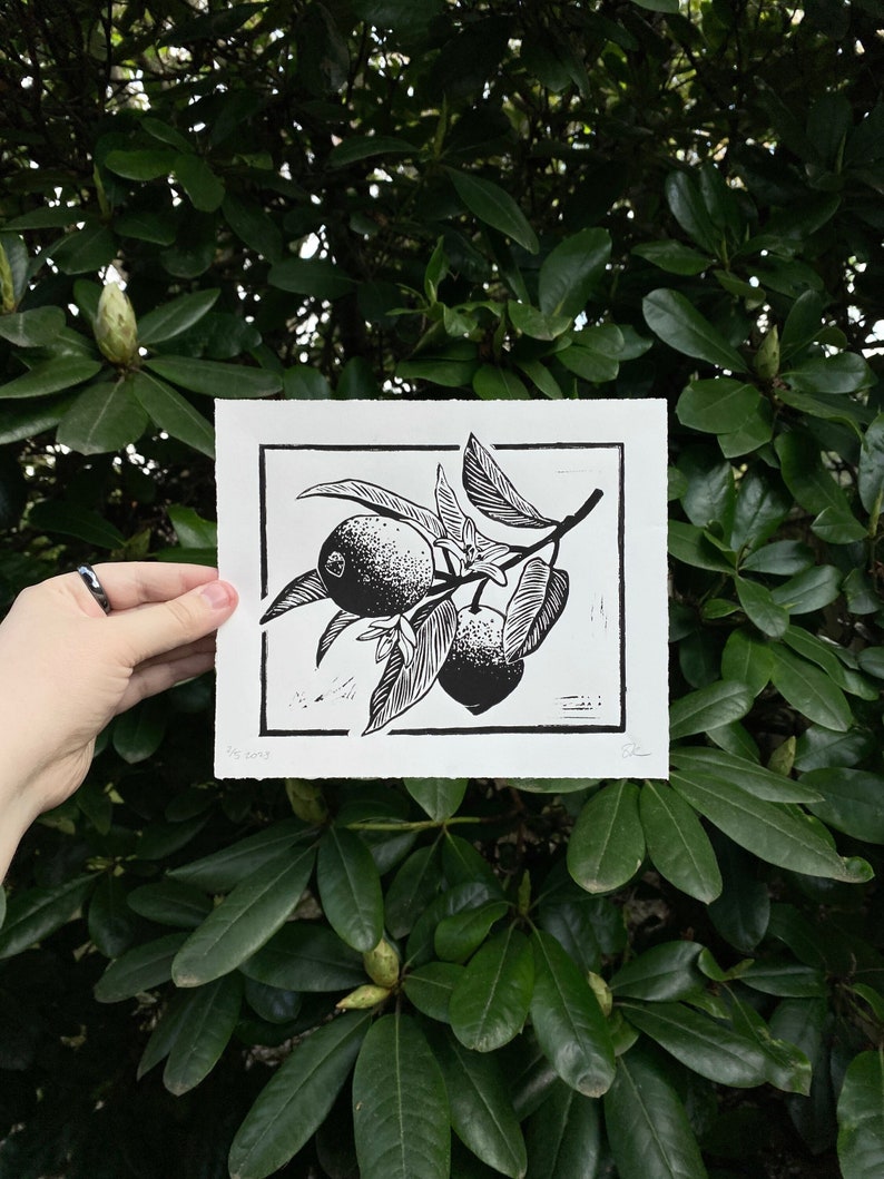 Horizontally oriented linocut print of a lemon tree branch with 2 lemons, 2 flowers, and 6 leaves. A rectangular black border runs around the branch, leaving 1 inch of white space around the print edge. Leaves overlap the border in three places