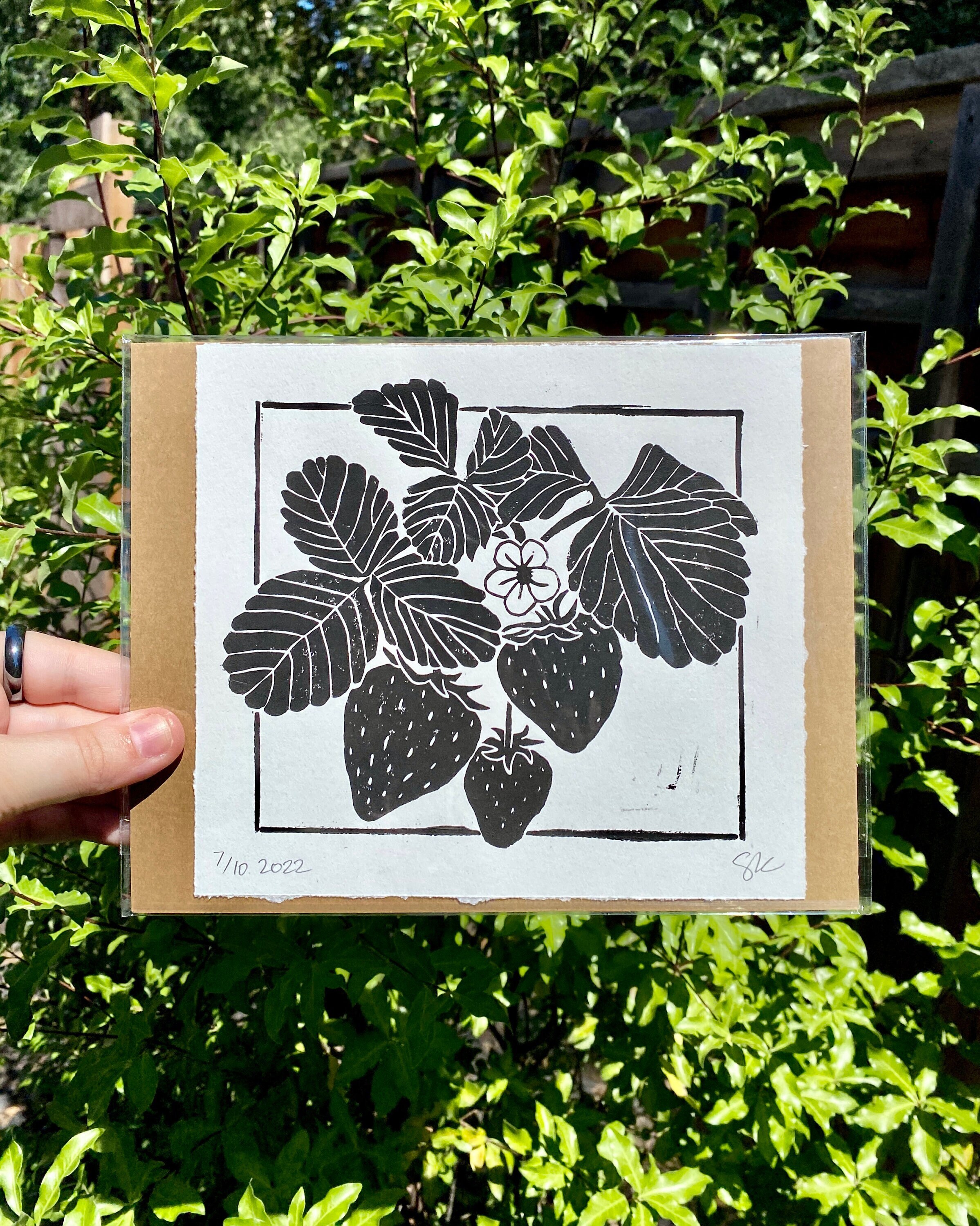 Figs Block Print Black and White Print Linocut Botanical Print 