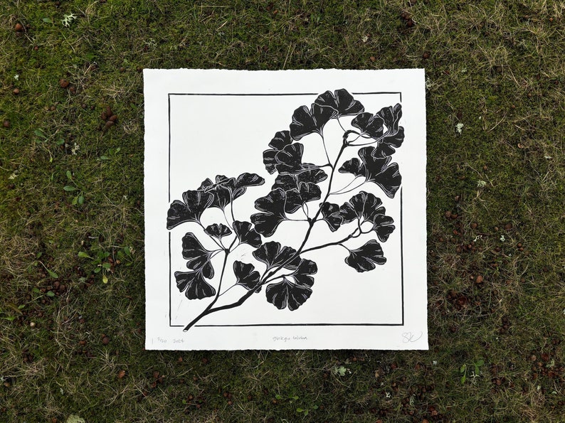 a 2 foot by 2 foot linocut in black ink on white paper. there is a branch of a ginkgo tree stretching from the bottom left corner up to the top right. it has about 30 leaves branching out from 10 places on the branch in an asymmetric layout