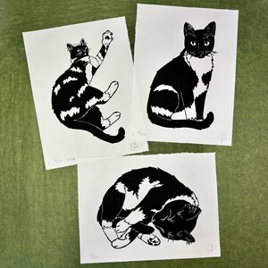 The print with two others of similar tuxedo cats. In addition to the sleeping cat, one cat is playing with its left front paw stretched upward, and the third is sitting looking at the viewer with its tail curled over its paws.