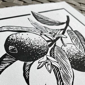 a close-up of the lemon branch, showing the detailed stippling of the lemons and linear hatching on the leaves.