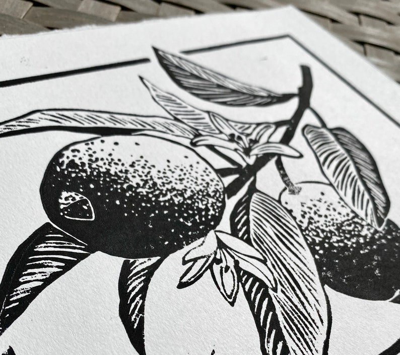 a close-up of the lemon branch, showing the detailed stippling of the lemons and linear hatching on the leaves.