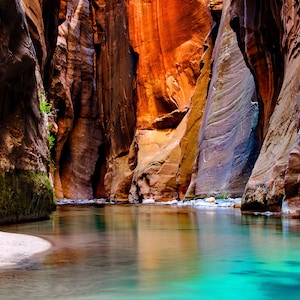 Zion, National Park, Vertical, Metal, Print, Photography, Narrows, Canyon, Wall Art, Landscape, Scenic, Photo
