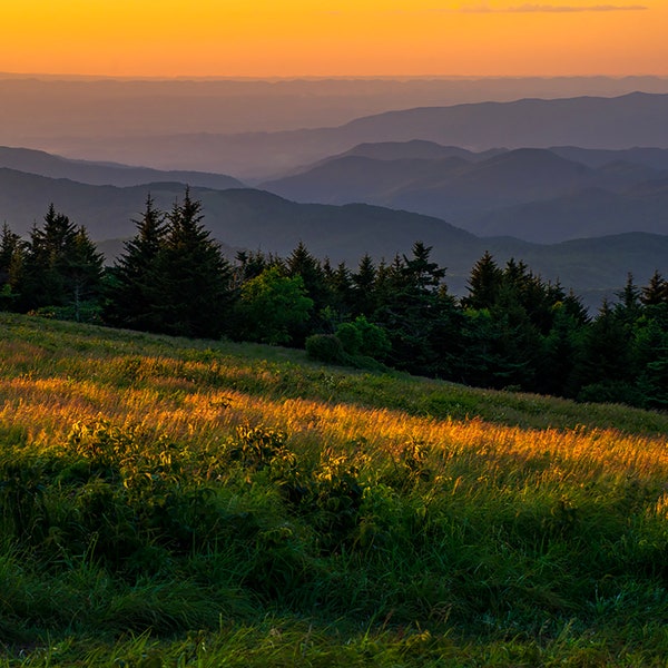 Roan Mountain, Sunset, Appalachian, Appalachia, Blue Ridge, Tennessee, Scenic, Landscape, Photo, Photography, Wall, Art