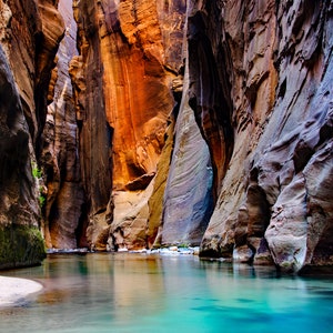 Zion, National Park, Photo, Print, Photography, Narrows, Canyon, Wall Art, Landscape, Scenic