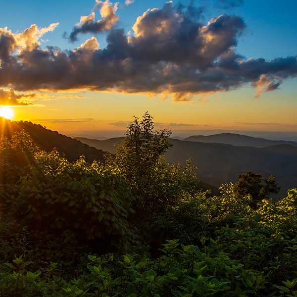 Appalachian Sunset, Aluminum Print, Roan Mountain, Appalachia, Blue Ridge, Tennessee, Scenic, Landscape, Photography, Wall, Art, Mountains