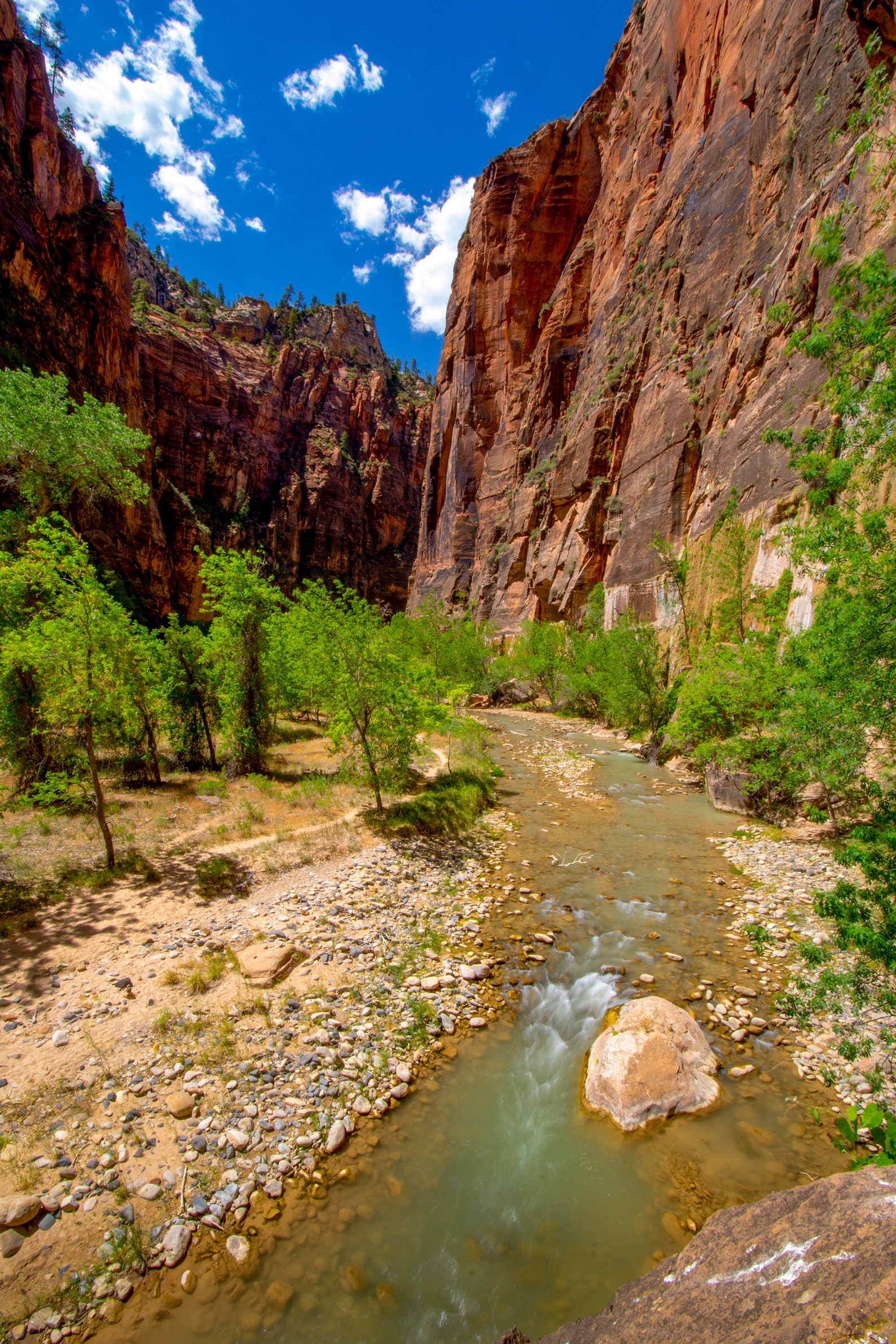 Zion, Riverwalk, Trail to the Narrows, Virgin, National Park, Photo ...