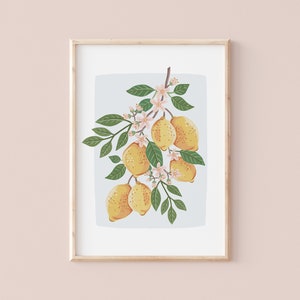 Summer lemons Botanical illustration Giclèe Art Print Hoglet&Co image 2