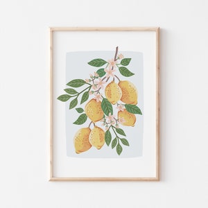 Summer lemons Botanical illustration Giclèe Art Print Hoglet&Co image 1