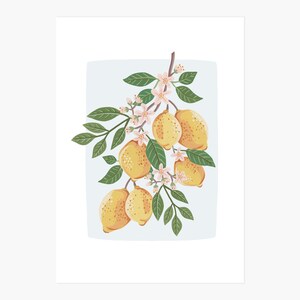 Summer lemons Botanical illustration Giclèe Art Print Hoglet&Co image 4