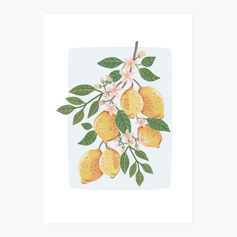 Summer lemons Botanical illustration Giclèe Art Print Hoglet&Co image 4