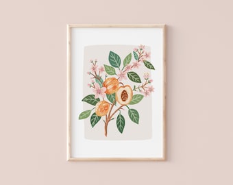 Peaches | Botanical illustration | Art Print | Hoglet&Co