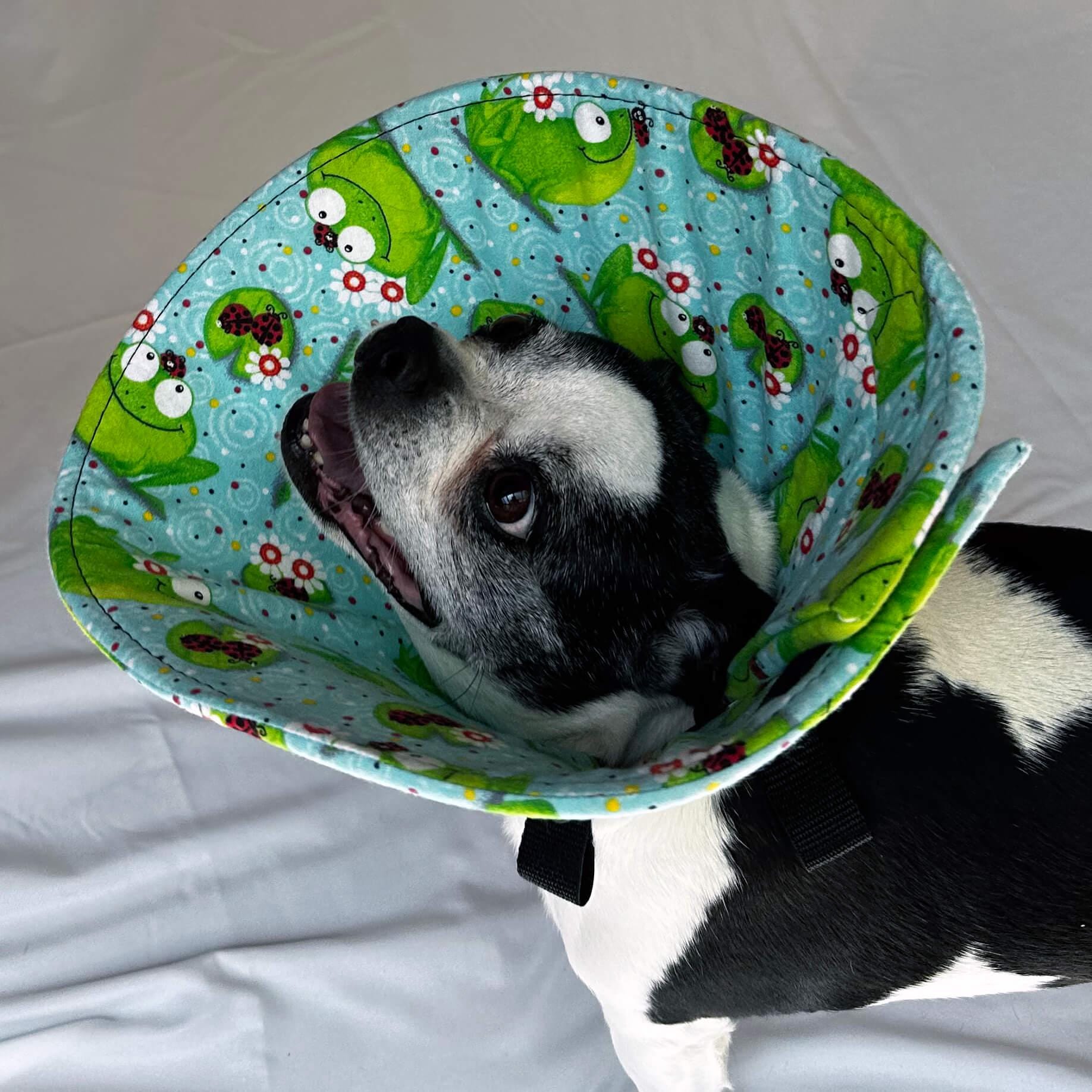 Soft Dog Cone – Frog Print Flannel Recovery Collar, Comfortable