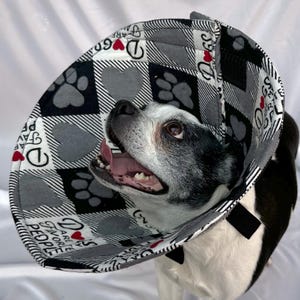 May include: A black and white dog wearing a soft, padded, cone-shaped collar with a black and white plaid pattern. The collar has red hearts and paw prints and the text "Dogs are people's favorite" printed on it.