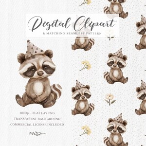 Clipart raton laveur et modèle sans couture, mignon chapeau de fête raton laveur, fichiers numériques PNG, Illustration aquarelle Kids Design