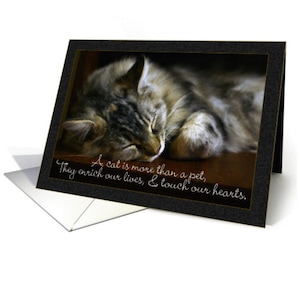 Haustier Katze Beileid Karte, Verlust der Haustier Karte 5 x 7 pro Karton und Umschlag