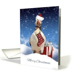 Papegaaiduiker kerstkaart, met Puffin tricotst en Gift In de sneeuw, kerstkaart
