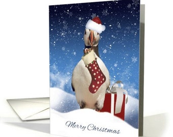 Puffin Christmas Card, With Puffin Stocking And Gift In The Snow, Christmas card