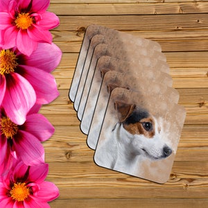 Set di 4 Jack Russell Coasters / Grunge Jack Rusell / Home Gift / Home ware / Coasters / New Home / Gift / single disponibile