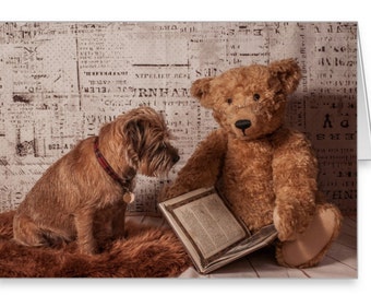 Border Terrier Dog and Mohair Bear, Birthday greeting card