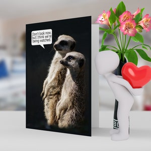 Meerkat Geburtstagskarte Humor, Spaß Karte 5 x 7 Pro Karte Lager und Umschlag