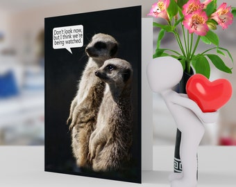 Meerkat verjaardag kaart humor, leuke kaart 5 x 7 Pro card voorraad en envelop