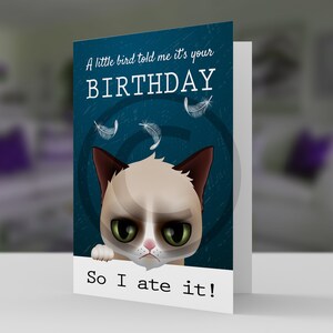 Amusant chat très grincheux Carte d’anniversaire carte d’humour pour l’amoureux des chats Un petit oiseau m’a dit 5x7 pro carte stock et enveloppe