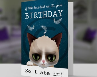 Fun very grumpy cat Birthday card humor card for the cat lover A little bird told me 5x7 pro card stock and envelope