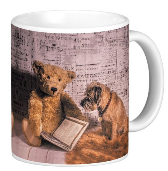 border terrier teddy
