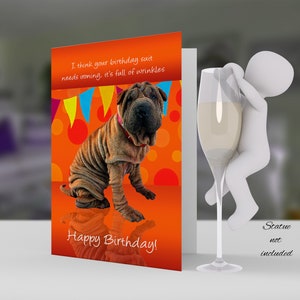 Biglietto di compleanno divertente Shar Pei con compleanno Humor 5x7 carta e busta