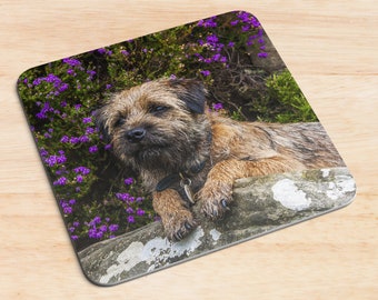 Set of 4 Border Terrier Coasters | Drinks Coaster - Art Coasters| Coasters | New Home | Gift