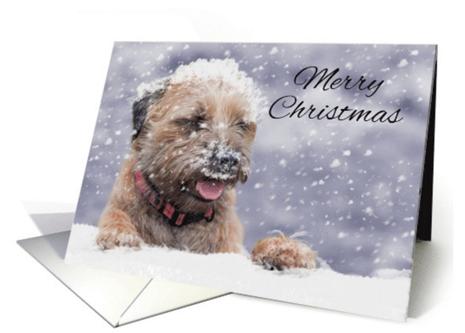 border terrier christmas card christmas wishes oil paint