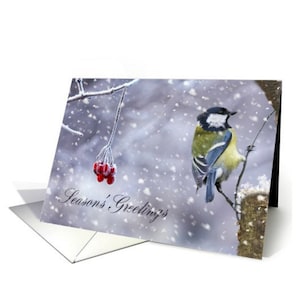 Weihnachtskarte mit großer Tit In der Schnee - sehr unterschiedliche fotografische Karte von einem Winter blau-Meise
