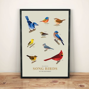 Songbirds of the Southeast Art Print | Ornithology |  Unframed