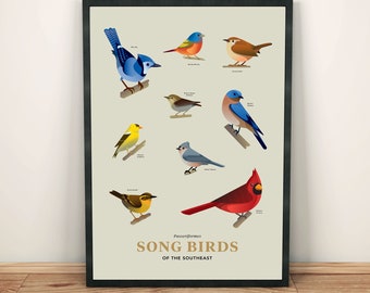 Pájaros cantores del sureste de impresión de arte / Ornitología / Unframed