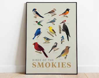 Pájaros de los Smokies Impresión / Ornitología / Unframed